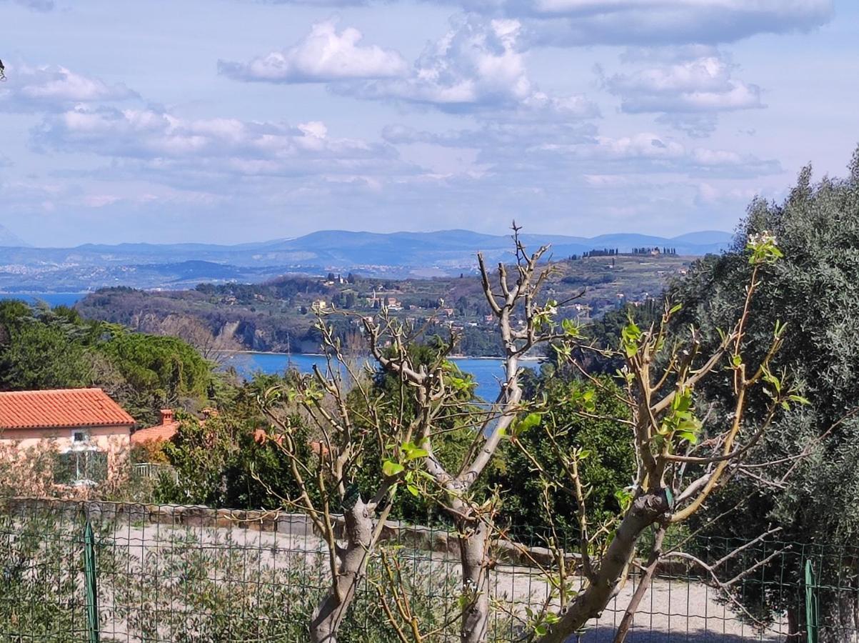 Apartma Sonja 2 Piran Exteriér fotografie